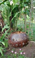 Flowerpot coconut polished. Art. code: CCB004. Size Diameter aprox 13-15 cm. Price FOB 3,20 usd.
