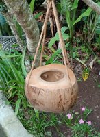 Flowerpot coconut polished. Art. code: CCB009. Size Diameter aprox  cm. Price FOB 1,80 usd.