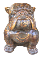 Bulldog in cement. Size H40, L45, W30 cm. Price Exwork 288.000 IDR. Price FOB 23,80 usd incl packing wooden crate. Order code ZCA005.