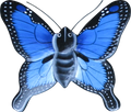 Magnet animal wood butterfly blue. Art. code ZM031. Size L 7 cm H 6,5 cm. Price FOB 0,33 usd. Art. code ZM035. Size L 9,5 cm, H 8 cm. Price FOB 0,38 usd.