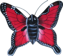 Magnet animal wood butterfly red. Art. code ZM033. Size L 7 cm H 6,5 cm. Price FOB 0,33 usd. Art. code ZM037. Size L 9,5 cm, H 8 cm. Price FOB 0,38 usd.